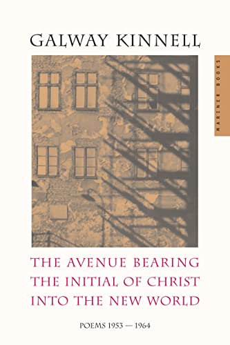 The avenue bearing the initial of Christ into the New World Cover