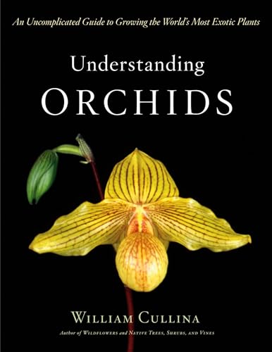 Understanding orchids Cover