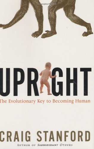 Upright Cover