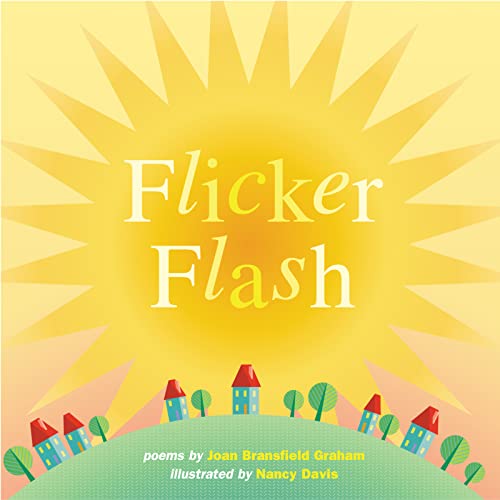 Flicker Flash Cover