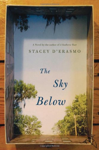 The sky below Cover