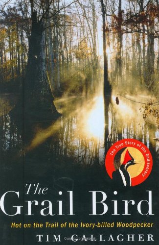 The Grail Bird: Hot on the Trail of the Ivory-billed Woodpecker Poster