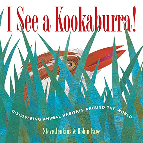 I see a kookaburra! Cover
