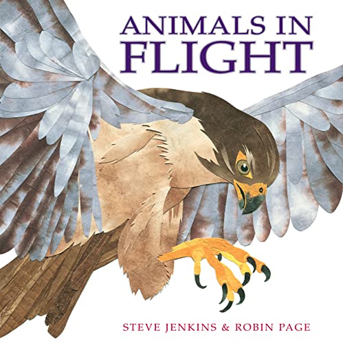 Animals in Flight Cover