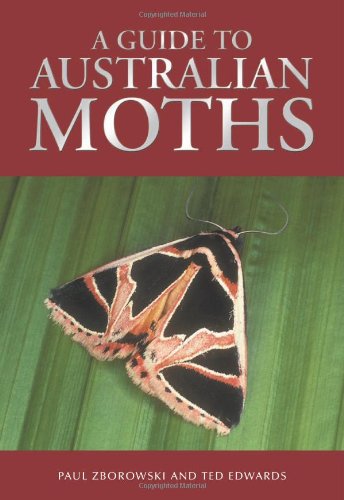 Guide to Australian Moths Cover