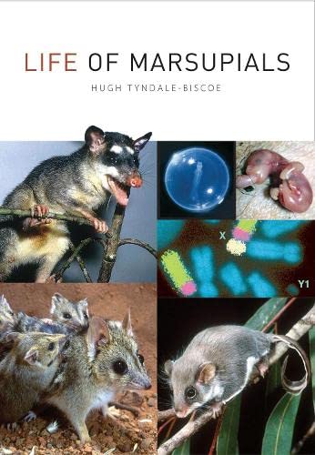 Life of marsupials Cover