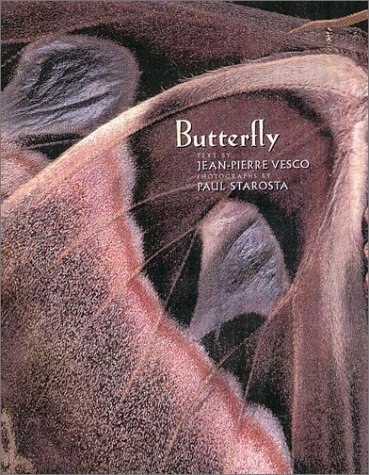 Butterflies and moths Cover