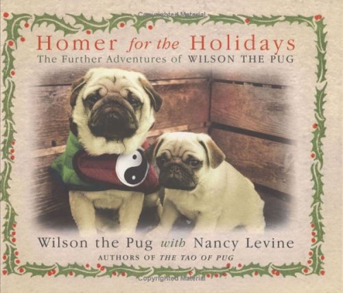 Homer for the Holidays Cover