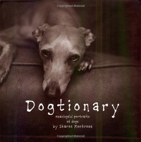 Dogtionary Cover