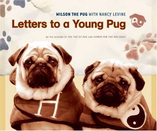 Letters to a Young Pug (Wilson the Pug) Cover