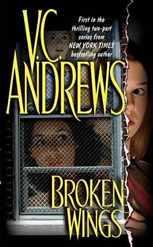 Broken wings Cover