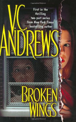 Broken wings Cover
