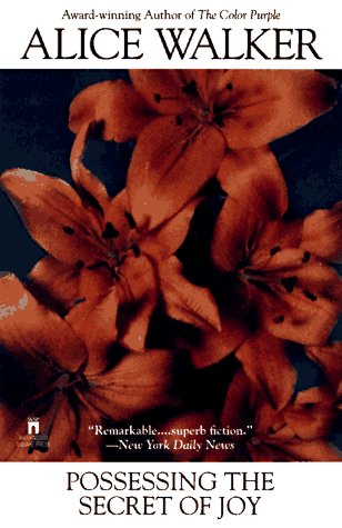Possessing the secret of joy Cover