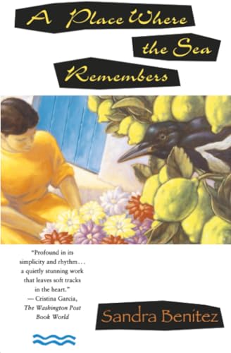 A place where the sea remembers Cover