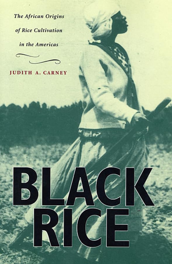 Black Rice Cover