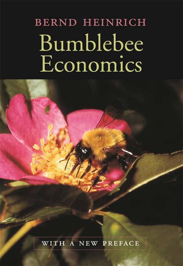 Bumblebee economics Cover