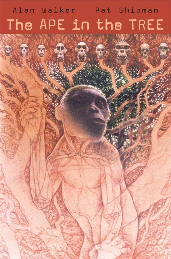 The ape in the tree Cover