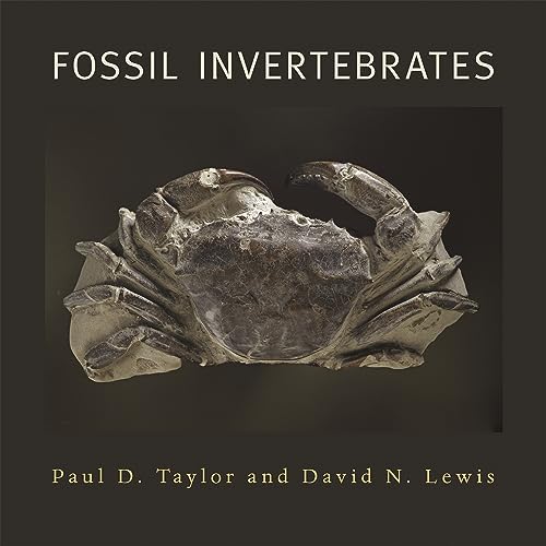 Fossil Invertebrates Cover