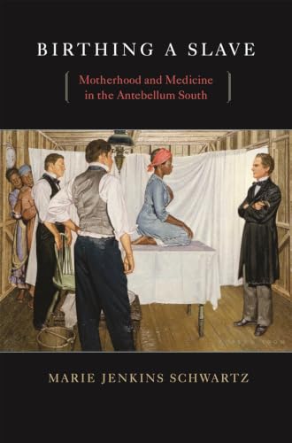 Birthing a slave Cover