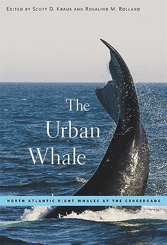 The urban whale Cover