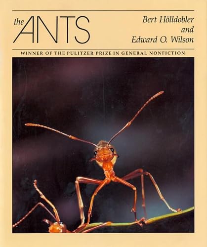 The ants Cover