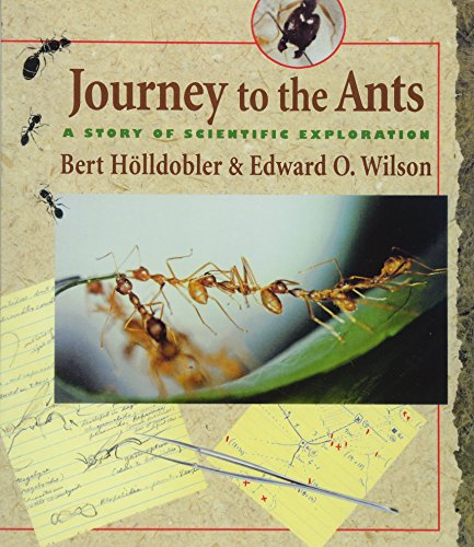Journey to the Ants Cover