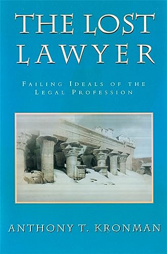 The Lost Lawyer  Cover