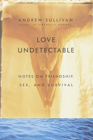 Love undetectable Cover