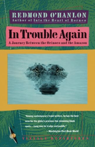 In trouble again Cover