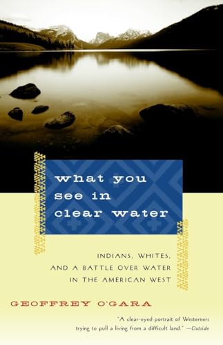 What You See in Clear Water Cover