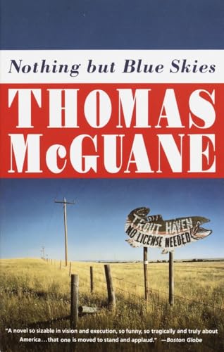 Nothing but blue skies Cover