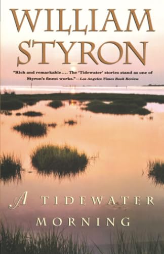 A Tidewater Morning Cover