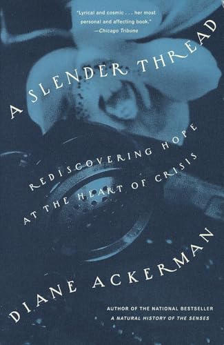 A Slender Thread Cover