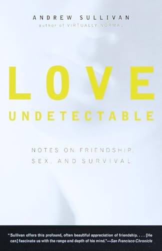 Love Undetectable Cover