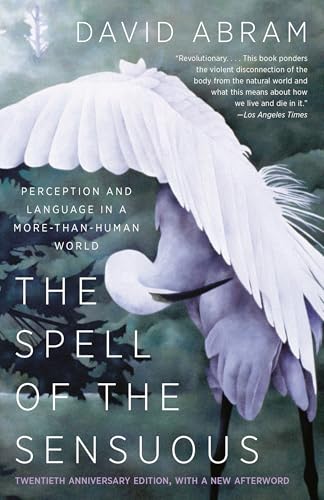 The spell of the sensuous Cover