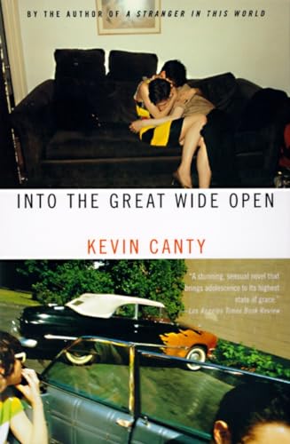 Into the great wide open Cover