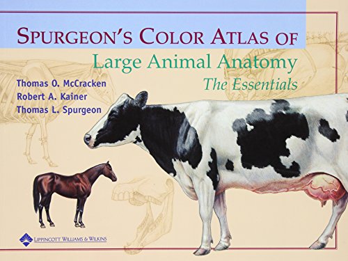 Spurgeon's color atlas of large animal anatomy Cover