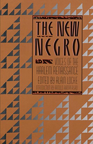 The New Negro  Cover