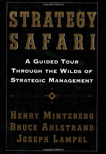 Strategy safari Cover
