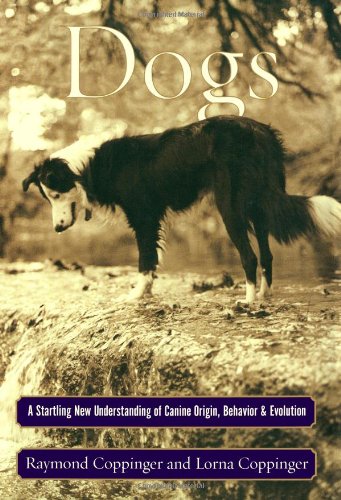 Dogs Cover