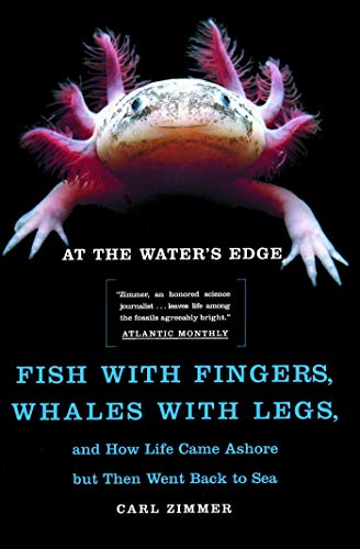 At the Water's Edge  Cover