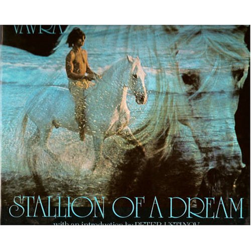 Stallion of a dream Cover