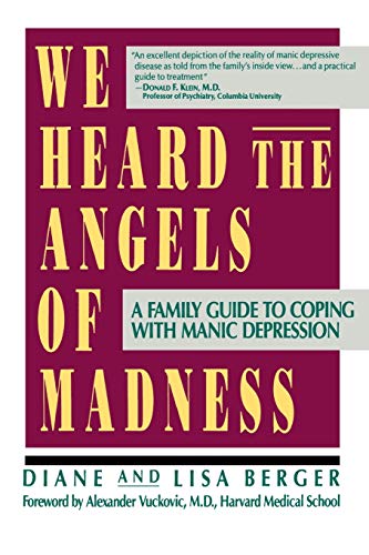 We heard the angels of madness Cover