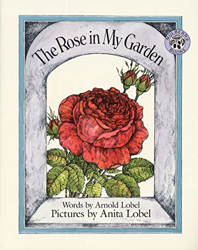The rose in my garden Cover