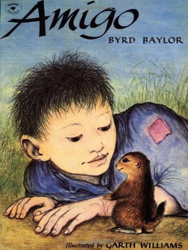 Amigo Cover