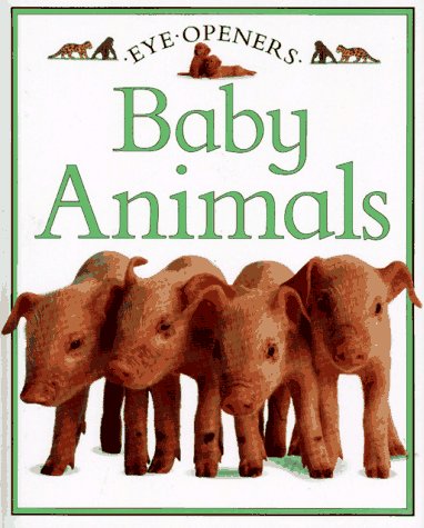 Baby animals Cover
