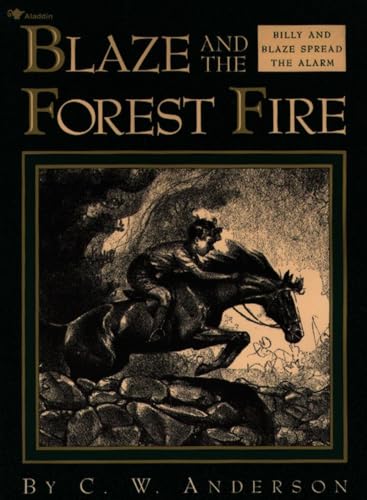 Blaze and the forest fire Cover