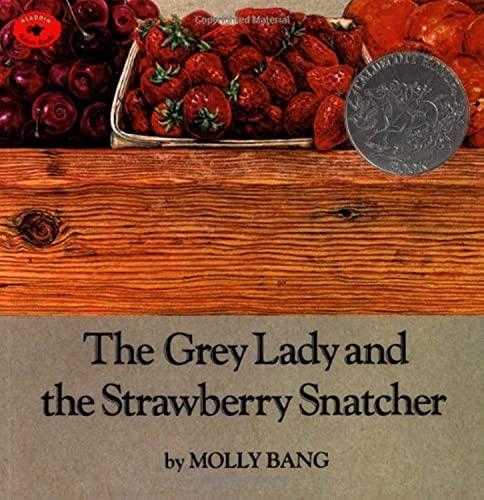 The Grey Lady and the Strawberry Snatcher Cover