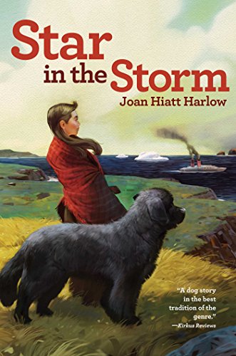 Star in the Storm. Cover