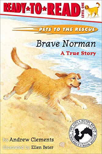 Brave Norman  Cover